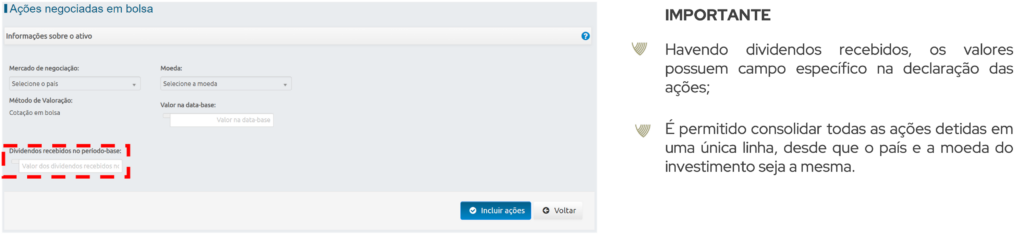 Tela exemplo de como declarar ações no exterior na DCBE