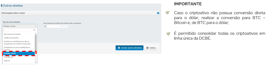 Tela exemplo de como declarar criptoativos na DCBE